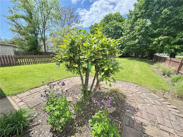 509 N Mercer St, New Castle/1St, PA 16101 - view of yard with a patio