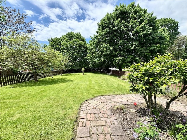 509 N Mercer St, New Castle/1St, PA 16101 - view of yard