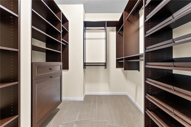 876 Beacon Ln, Mccandless, PA 15237 - walk in closet featuring light carpet