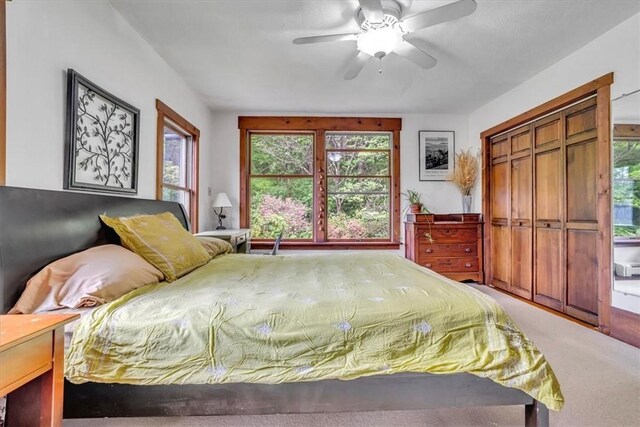 439 Pleasant Hill Rd, Allegheny Twp Wml, PA 15656 - bedroom featuring multiple windows, carpet, and a closet