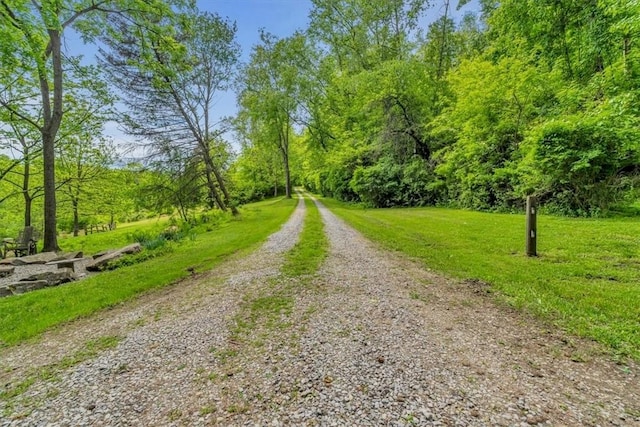 439 Pleasant Hill Rd, Allegheny Twp Wml, PA 15656 - view of dirt / gravel road