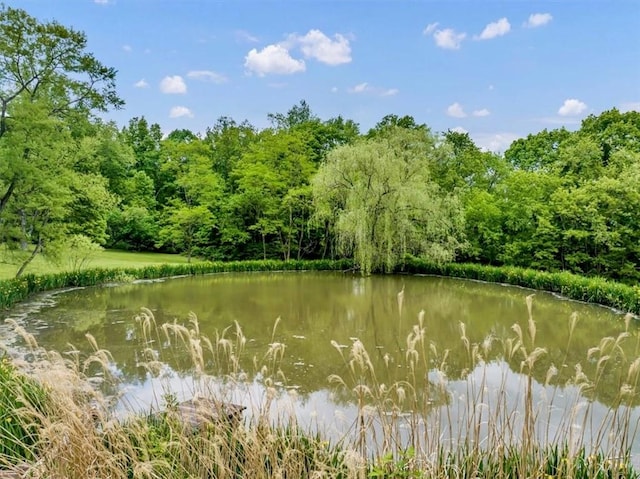 439 Pleasant Hill Rd, Allegheny Twp Wml, PA 15656 - water view with a heavily wooded area