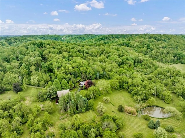439 Pleasant Hill Rd, Allegheny Twp Wml, PA 15656 - bird's eye view of a forest and a nearby body of water