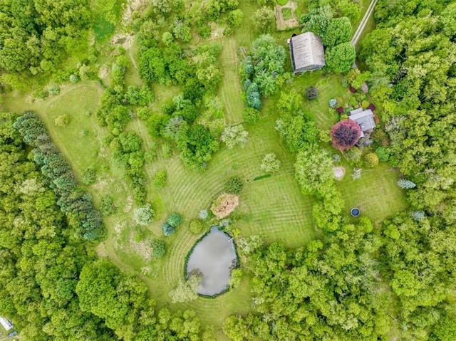 439 Pleasant Hill Rd, Allegheny Twp Wml, PA 15656 - aerial view of property's location
