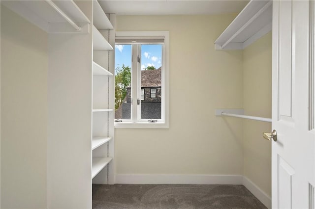 155 Westland Dr, Squirrel Hill, PA 15217 - spacious closet featuring carpet