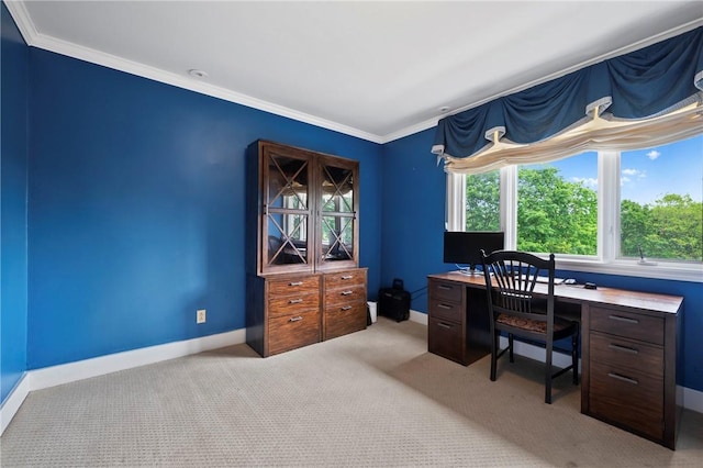 155 Westland Dr, Squirrel Hill, PA 15217 - office space with baseboards, ornamental molding, and light colored carpet