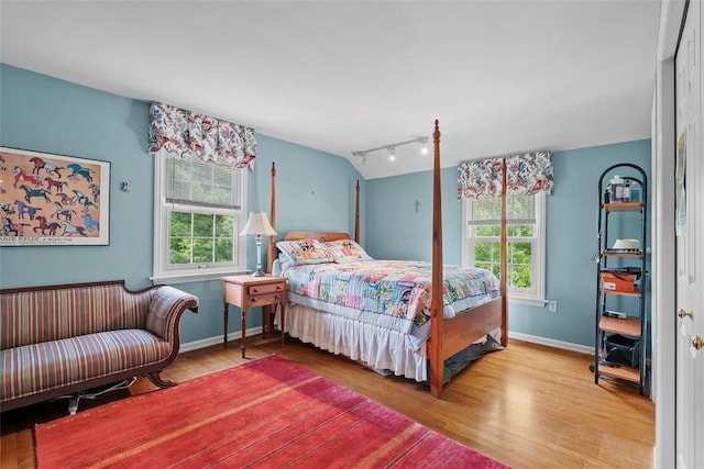 111 Maple Dr, Pine Twp Nal, PA 15090 - bedroom with wood finished floors, multiple windows, rail lighting, and baseboards