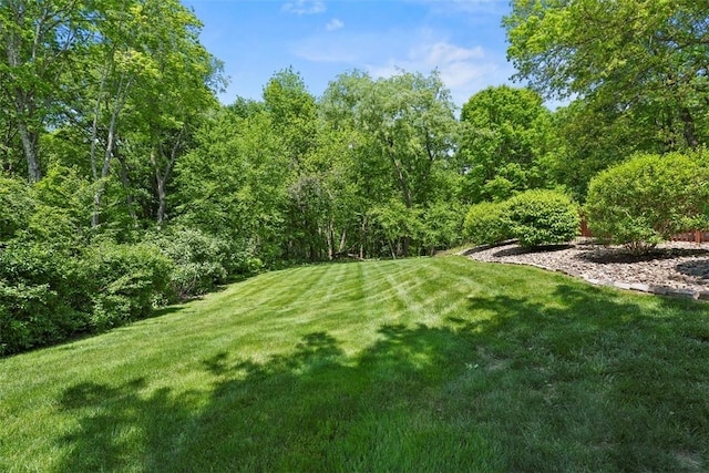 111 Maple Dr, Pine Twp Nal, PA 15090 - view of grassy yard