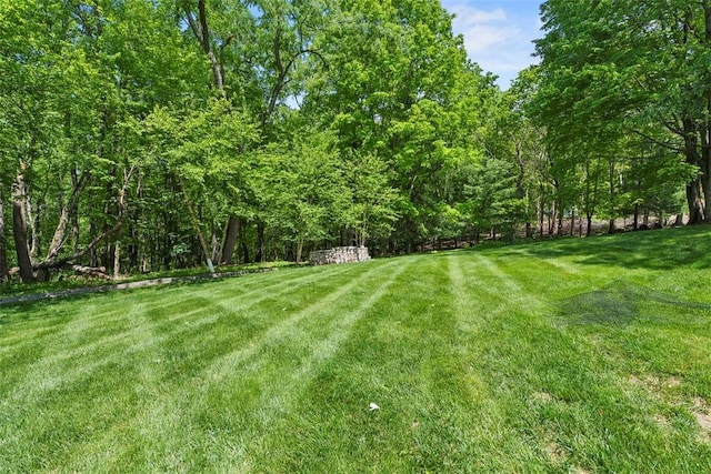 111 Maple Dr, Pine Twp Nal, PA 15090 - view of green lawn