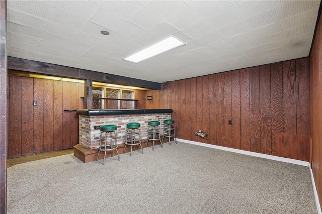 259 Allison Ave, Emsworth, PA 15202 - indoor dry bar featuring wooden walls and carpet floors