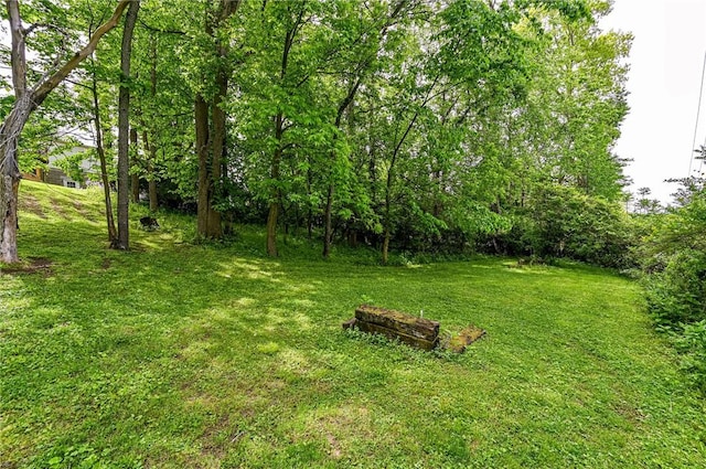 34 Max St, Hempfield Twp Wml, PA 15601 - view of grassy yard
