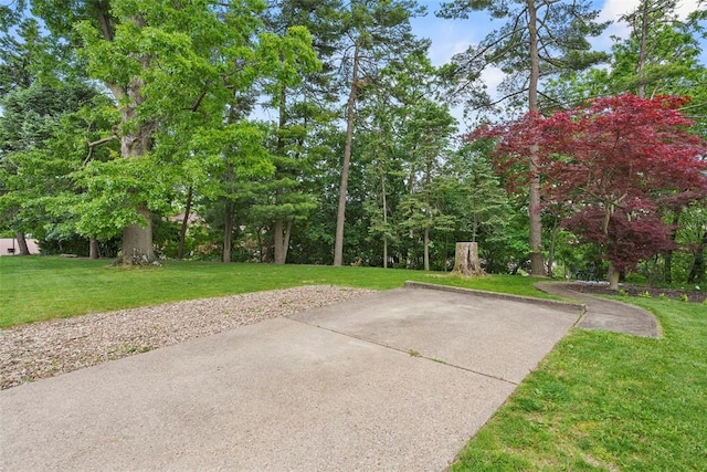 209 Owendale Ave, Brentwood, PA 15227 - photo 30