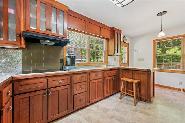 431 Scenic Dr W, Pike Run Twp, PA 15427 - kitchen with under cabinet range hood, a peninsula, decorative backsplash, brown cabinets, and glass insert cabinets