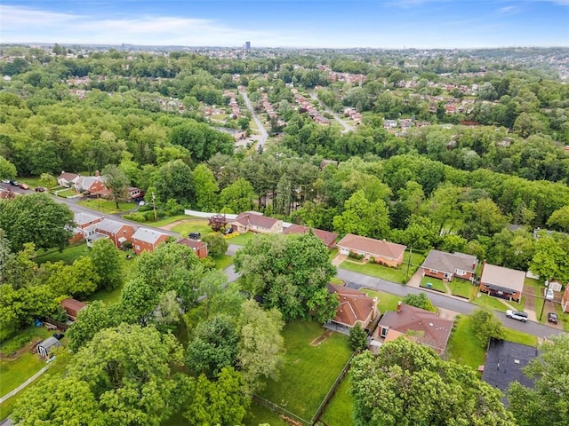 920 Maple Ave, Castle Shannon, PA 15234 - aerial view of residential area