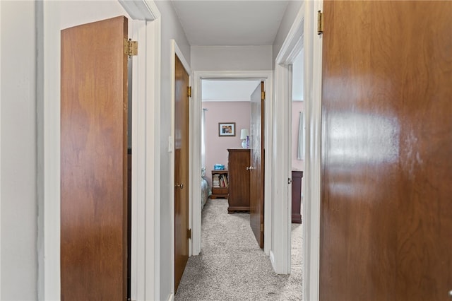 1332 Rte 519, North Strabane, PA 15330 - hall featuring carpet flooring