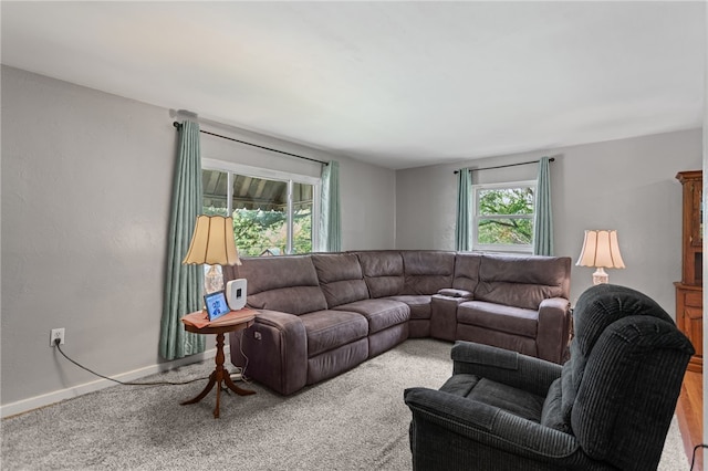 1332 Rte 519, North Strabane, PA 15330 - carpeted living area with baseboards