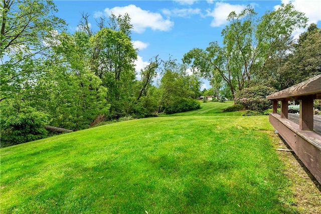 4117 Kellington Ct, Murrysville, PA 15668 - view of grassy yard