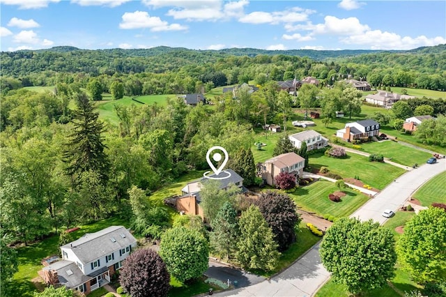 4117 Kellington Ct, Murrysville, PA 15668 - drone / aerial view of a forest
