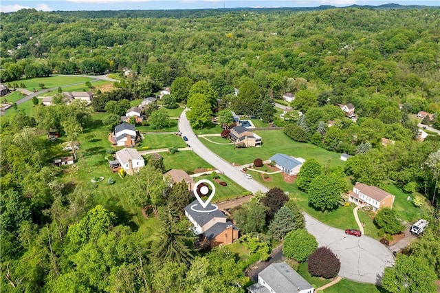 4117 Kellington Ct, Murrysville, PA 15668 - drone / aerial view of a forest