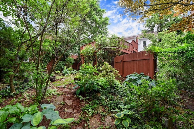2219 Beechwood Blvd, Squirrel Hill, PA 15217 - view of yard