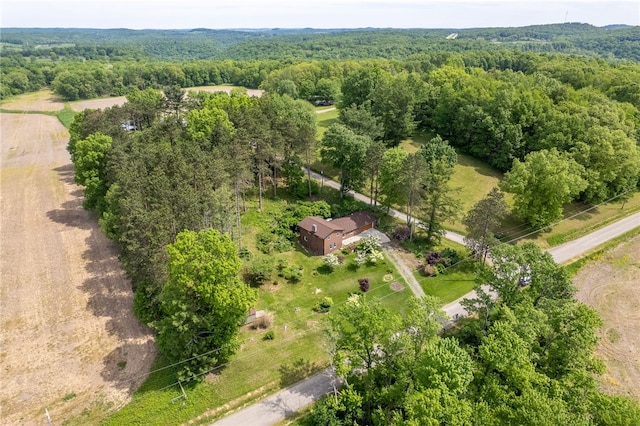 271 Harbison Rd, Buffalo Twp But, PA 16055 - bird's eye view of a forest