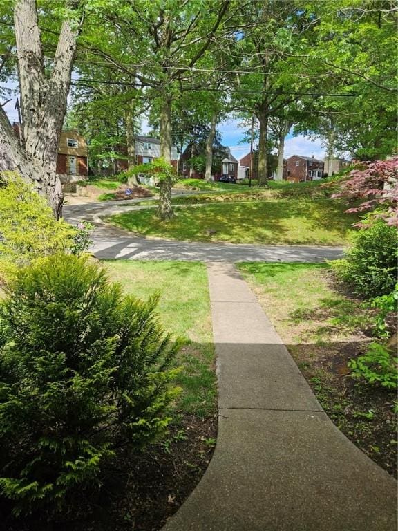 227 Ridge Ave, Forest Hills Boro, PA 15221 - view of green lawn