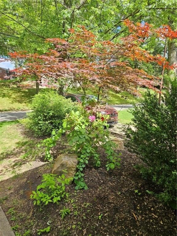 227 Ridge Ave, Forest Hills Boro, PA 15221 - view of yard