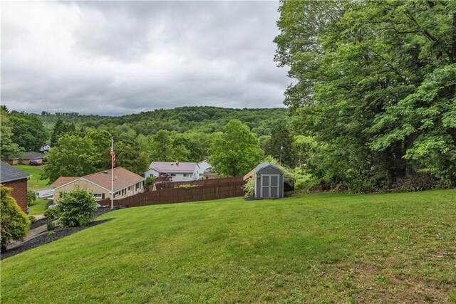 360 Orr Ave, Allegheny Twp, PA 15613 - view of yard featuring a view of trees and a storage unit