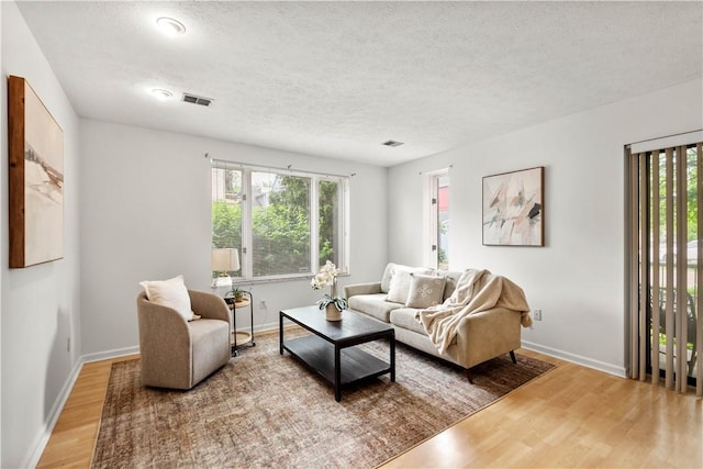 100 Denniston St Unit 211, Shadyside, PA 15206 - living room with light wood-style flooring, healthy amount of natural light, a textured ceiling, and baseboards