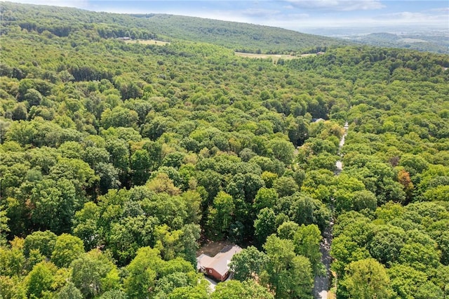 763 W Mountainview Rd, Bullskin Twp, PA 15610 - drone / aerial view of a forest