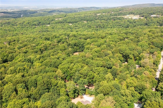763 W Mountainview Rd, Bullskin Twp, PA 15610 - drone / aerial view of a forest