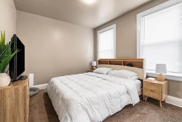 639 Tingley Ave, Bellevue, PA 15202 - carpeted bedroom featuring multiple windows and baseboards