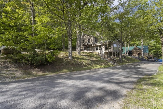 2226 County Line Rd, Donegal Wml, PA 15622 - view of front of house with asphalt driveway