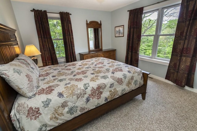 2226 County Line Rd, Donegal Wml, PA 15622 - carpeted bedroom featuring multiple windows and baseboards