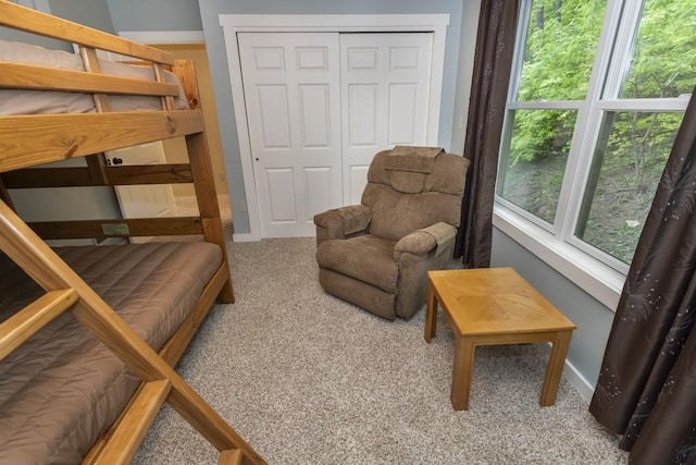 2226 County Line Rd, Donegal Wml, PA 15622 - carpeted bedroom with a closet and baseboards