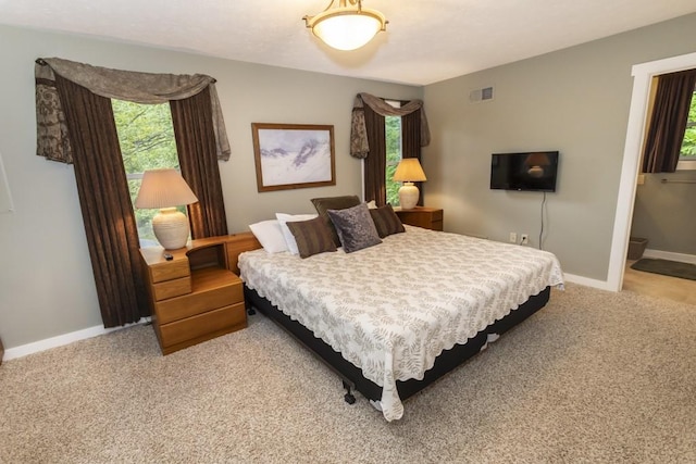 2226 County Line Rd, Donegal Wml, PA 15622 - bedroom with multiple windows, light colored carpet, and baseboards