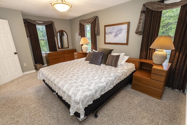 2226 County Line Rd, Donegal Wml, PA 15622 - bedroom featuring multiple windows, light carpet, and baseboards
