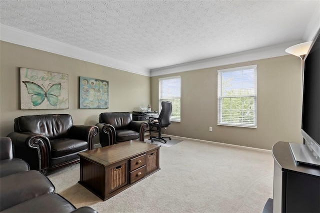 9264 Marshall, Cranberry Twp, PA 16066 - living area with a textured ceiling, light carpet, ornamental molding, and baseboards