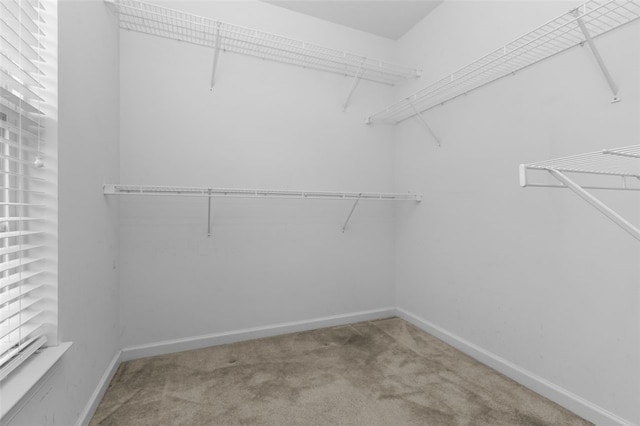 190 Southern Valley Ct, Adams Twp, PA 16046 - spacious closet featuring carpet flooring