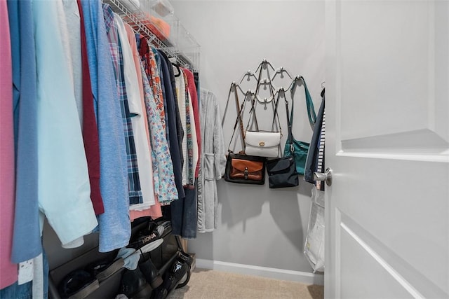 303 Tillary Ln Unit 201, Cranberry Twp, PA 16066 - walk in closet with carpet
