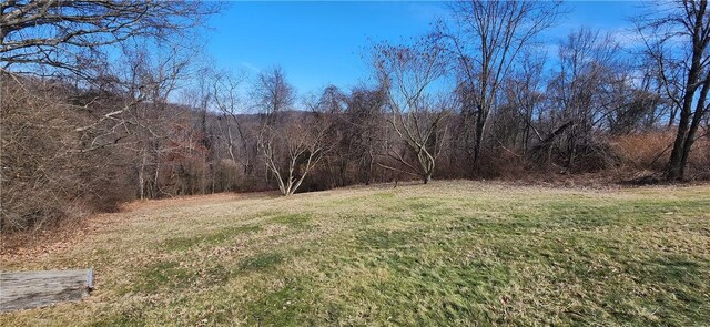 32 John Dr, Hanover Twp Wsh, PA 15021 - view of grassy yard with a view of trees