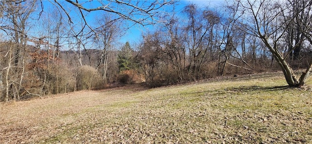 32 John Dr, Hanover Twp Wsh, PA 15021 - view of green lawn featuring a wooded view