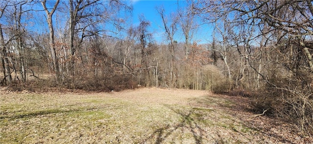 32 John Dr, Hanover Twp Wsh, PA 15021 - view of yard with a forest view