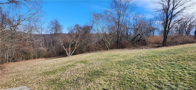 32 John Dr, Hanover Twp Wsh, PA 15021 - view of grassy yard