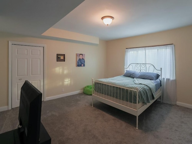 204 Biddle Ave, Regent Square, PA 15221 - bedroom with carpet flooring and baseboards