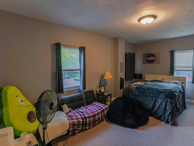 204 Biddle Ave, Regent Square, PA 15221 - carpeted bedroom with multiple windows