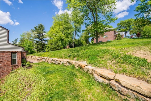 2507 Corteland Dr, Upper St Clair, PA 15241 - view of yard