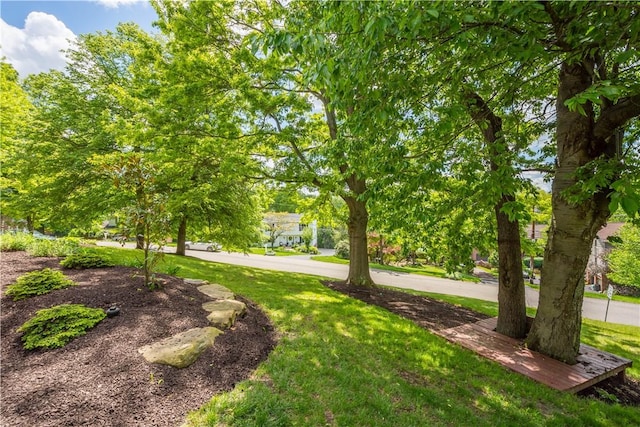 2507 Corteland Dr, Upper St Clair, PA 15241 - view of green lawn