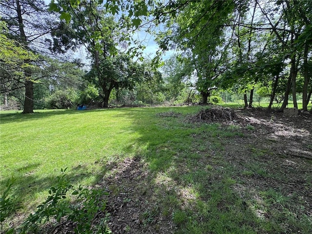 608 Wible Run Rd, Shaler, PA 15209 - view of green lawn