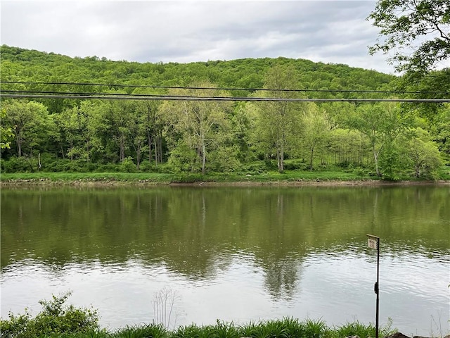 688 N Tunnel Rd, Pa, PA 16374 - water view with a heavily wooded area
